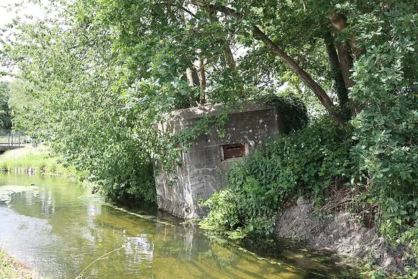Stekelvarken, Bunker, Deurne