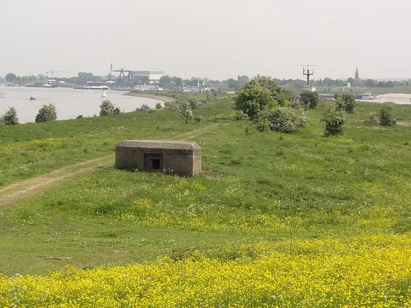stekelvarken, Bunker, Lingewaard