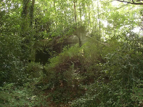 Bunker, Bunker, 's-Gravenhage
